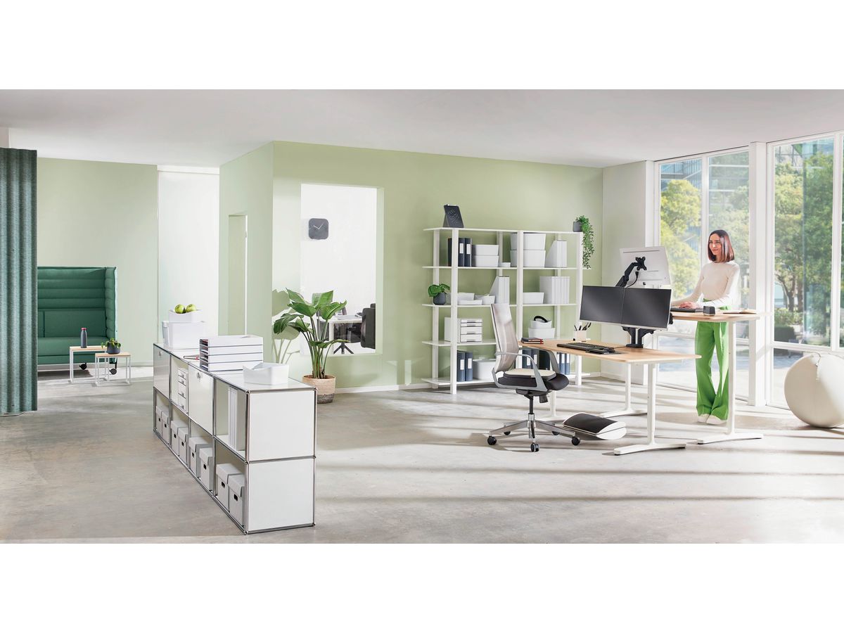 LEITZ Support de moniteur ERGO 6537-00-89 gris, dual (4002432134687)