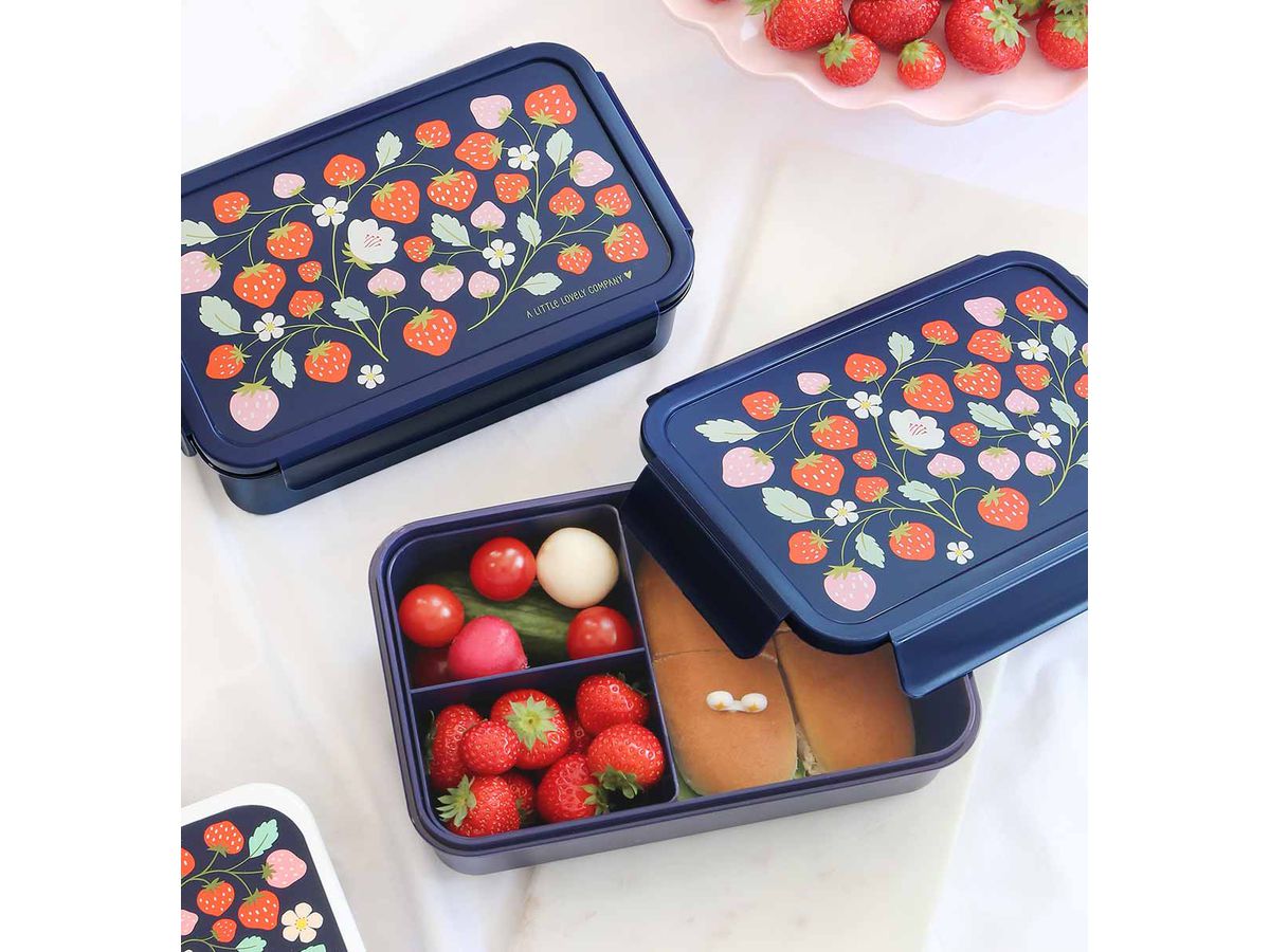 ALLC Lunch Box 22x7x14.5cm SBSTBU55 Erdbeere (8719715002828)