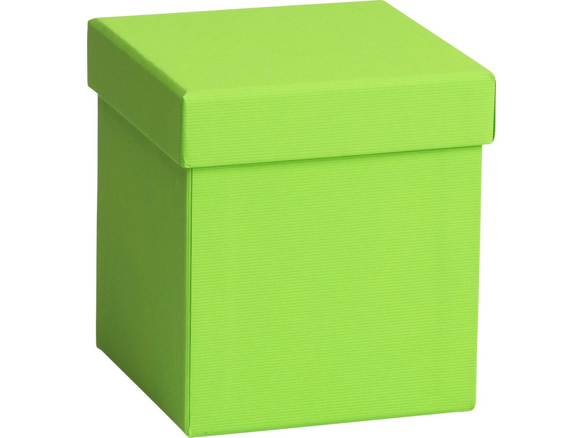 STEWO Boîte cadeau One Colour 2551782890 vert clair 11x11x12cm (7630050845837)