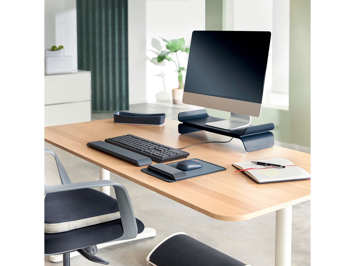 LEITZ Support pour moniteur Ergo 6504-00-89 Gris fonce (4002432134823)