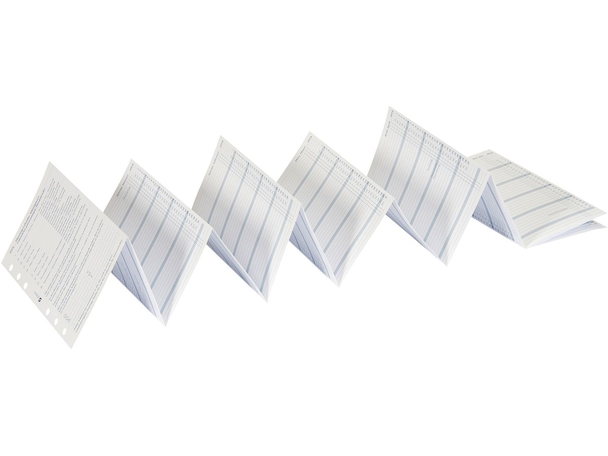 SUCCES Agenda Standard plan.ann. 2027 843159000027U 6M/1P rainurés 9.5x17.1cm (8717481254304)