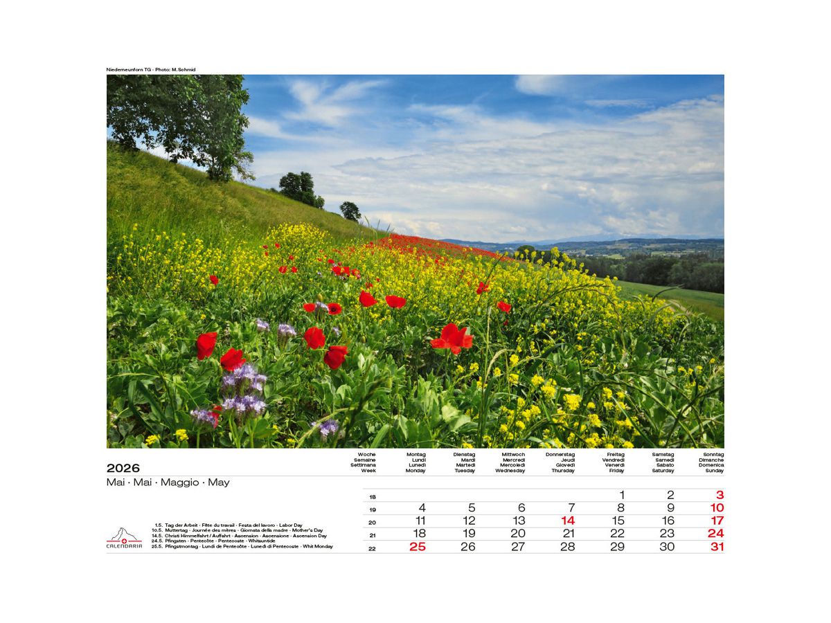 CALENDARIA Bildkalender 2026 9783036205083 Swiss Panorama ML 40x31cm (9783036205083)