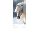 WEINGARTEN Bildkalender 2026 3119300+26 Pferde DE 33x68cm (9783839903032)