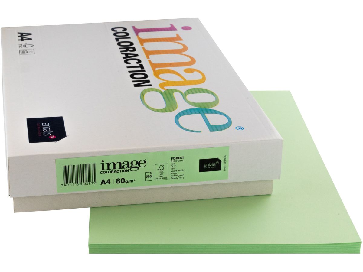 IMAGE COLORACTION Carta per copie Forest A4 274581 80g, verde 500 fogli (7611115002235)