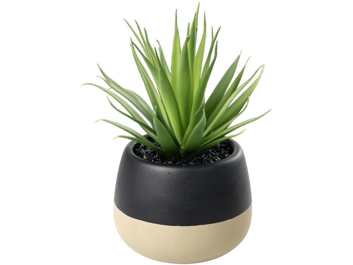 EGLO Pianta artificiale 20cm 428493 verde, in vaso (9008606367924)