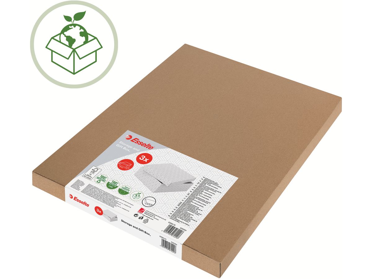 ESSELTE Vaschetta potadoc. Home Cube 628288 365x320x315mm, bianco 3 pz (4049793072333)