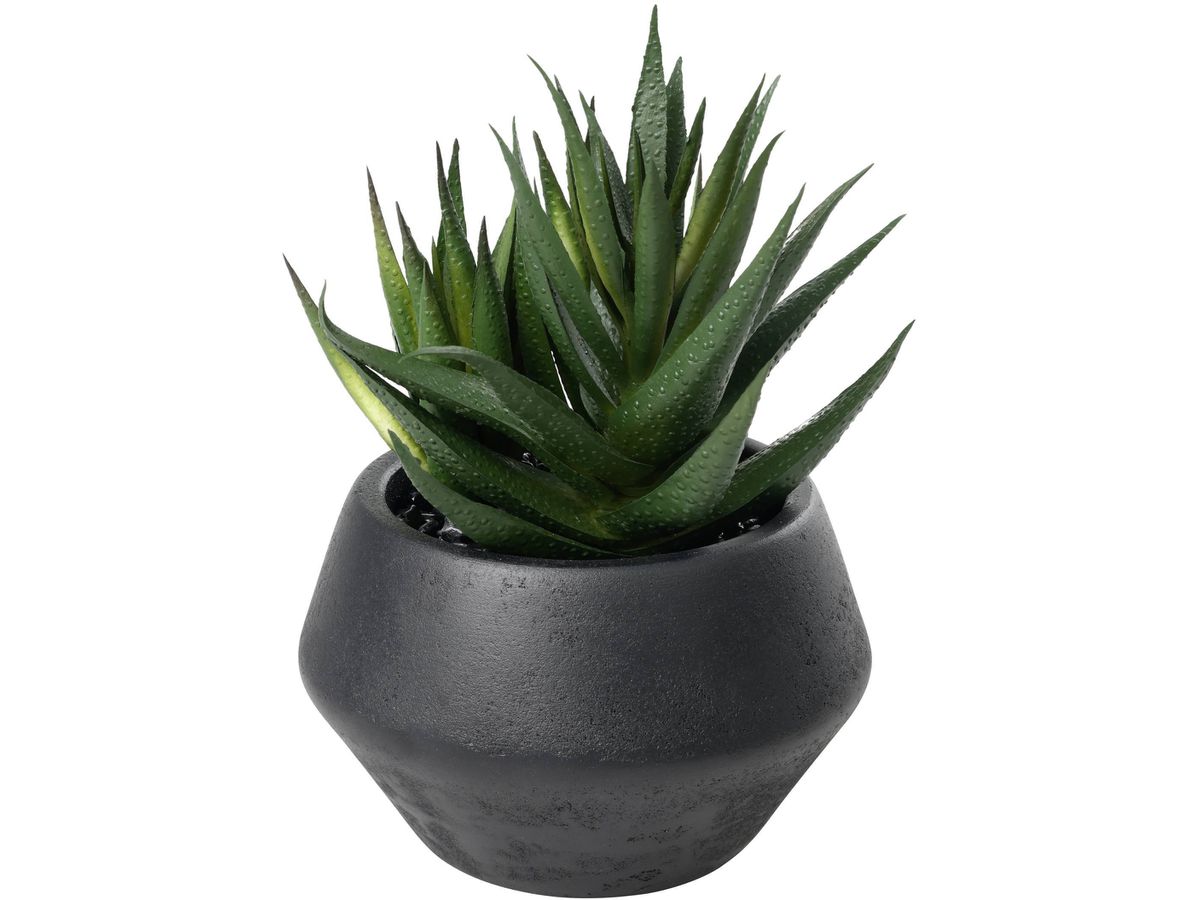 EGLO Plante artificielle 17.5cm 428491 vert, en pot (9008606367900)