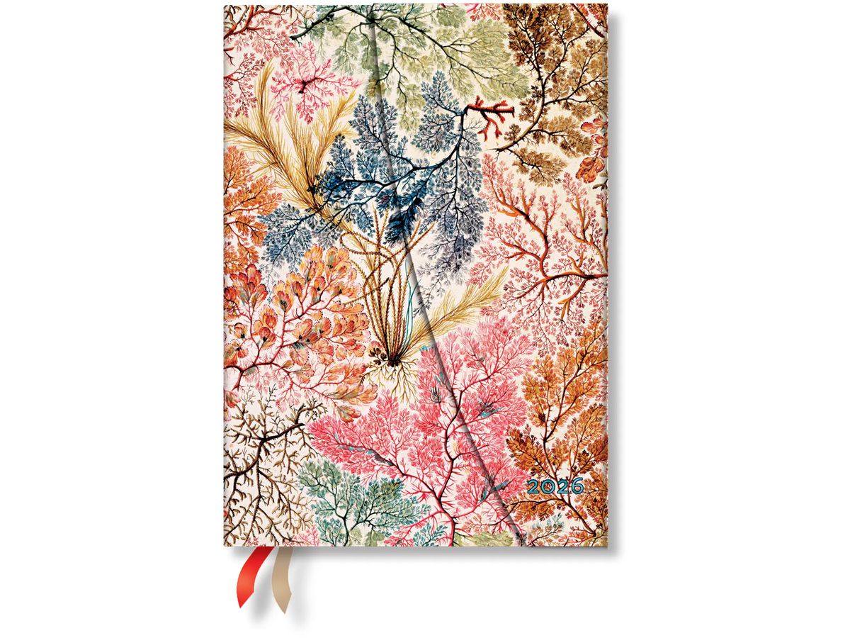 PAPERBLANKS Agenda Anemone 2026 DD0600-9 1W/2S VER Midi HC DE 13x18cm (9780349706009)