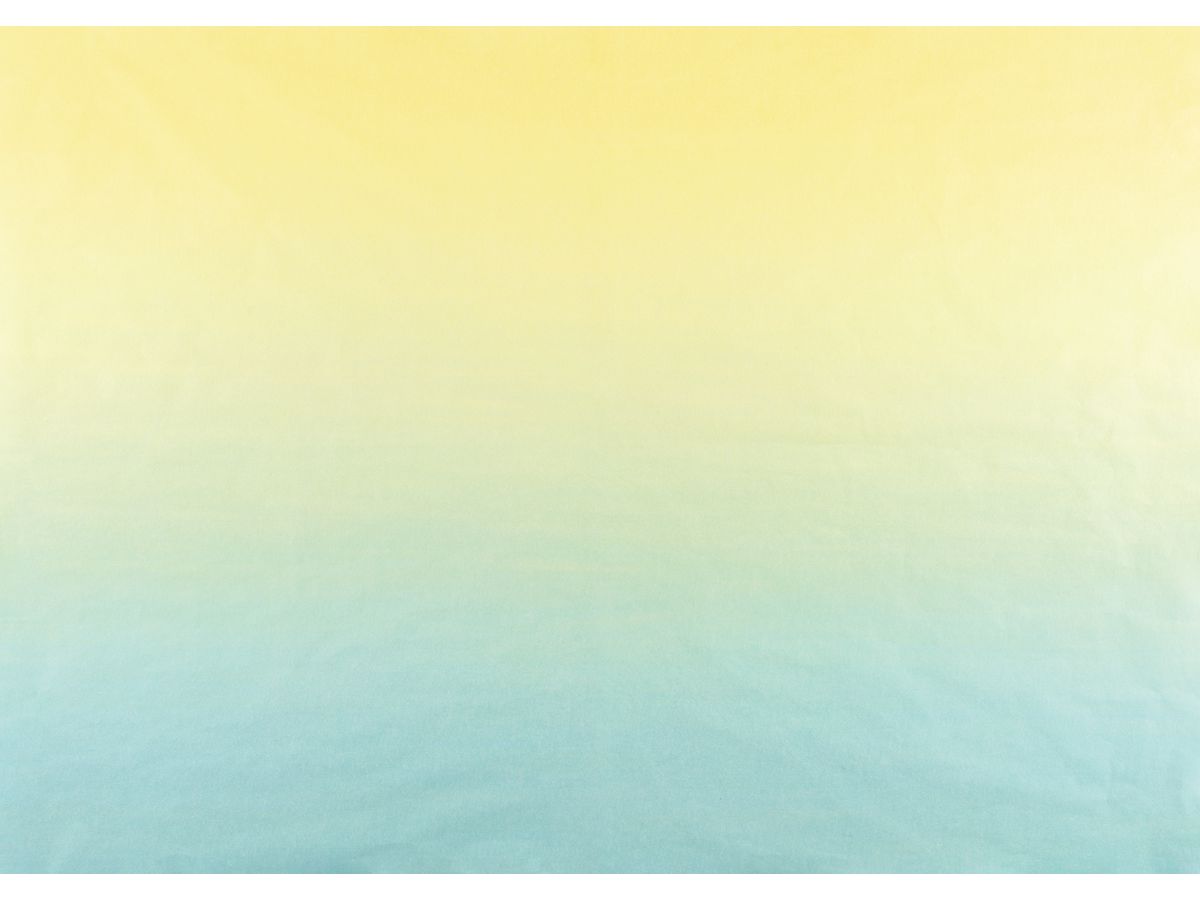 FOLIA Blumenseide 20g 91078 Shades of Rainbow (4001868132649)