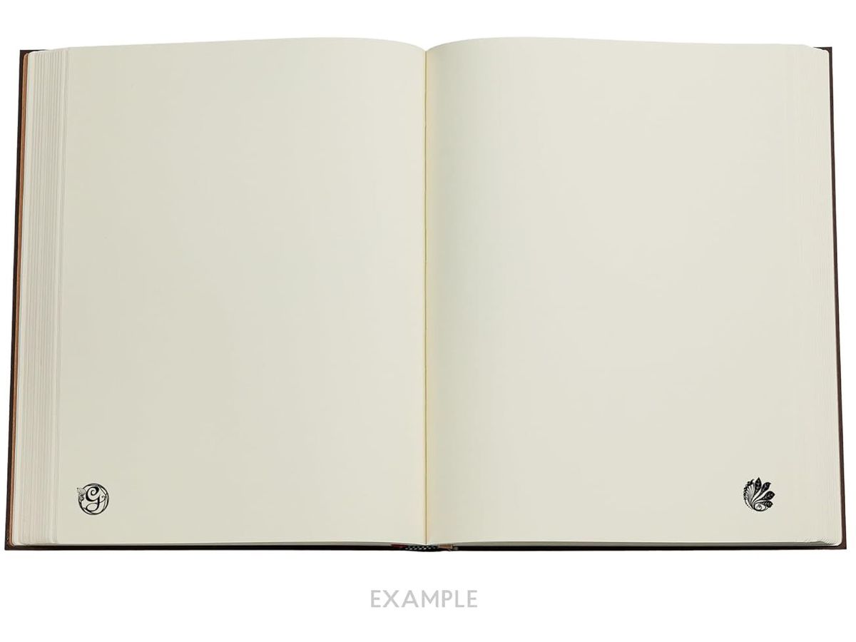 PAPERBLANKS Notizbuch Wicked Midi PBD6440 Magie Wicked, blanco 144 S. (9781408764404)