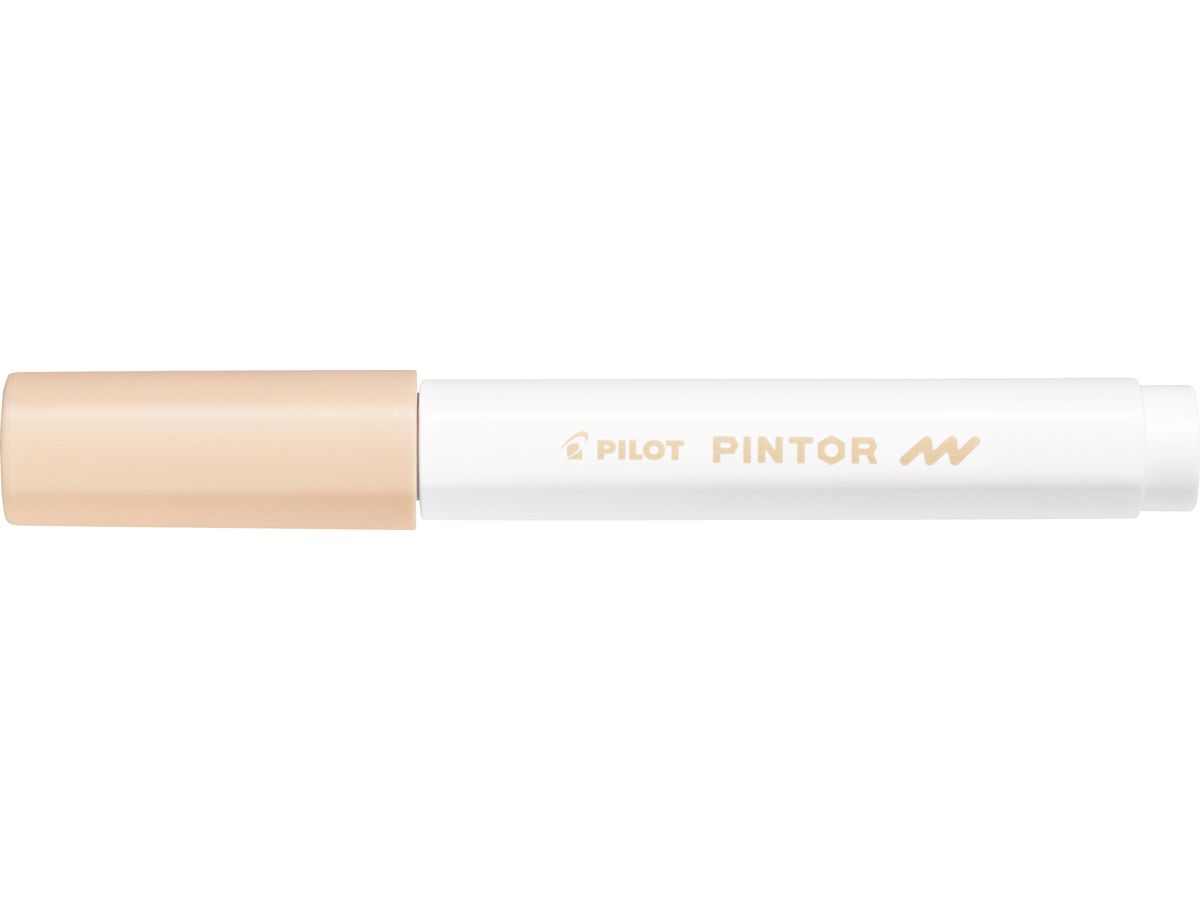 PILOT Marker Pintor F SW-PT-F-PO lachs (4902505541483)