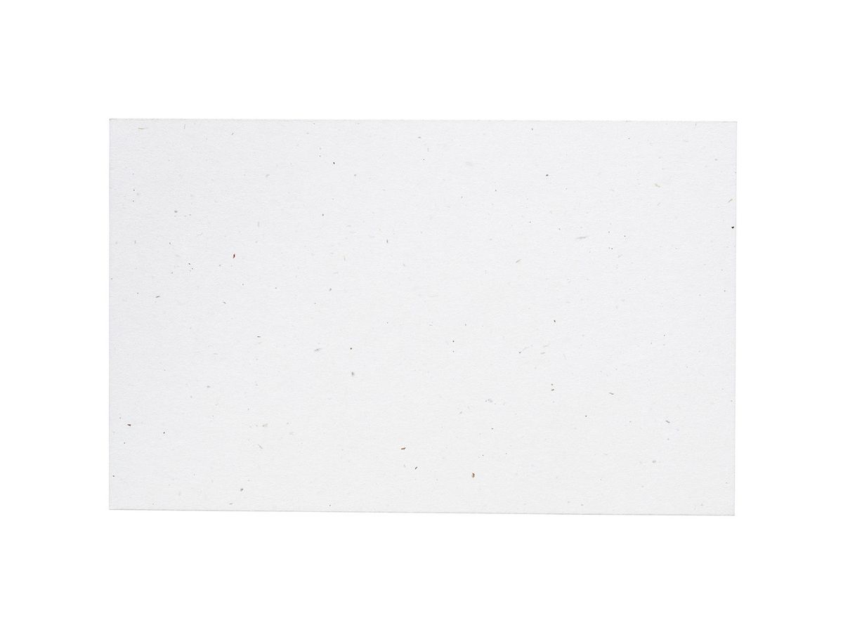 ARTOZ Cartes de visite 1001 A7 19213614-211 216g, birch 5 feuilles (7612996882442)