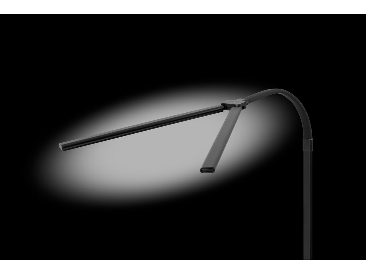 HANSA Lampe de table Novano 41-5011.009 noir (7612176094085)