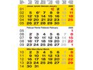 CALENDARIA 3-Monats-Wandkalender 2026 9783036205502 gelb 31x40cm (9783036205502)