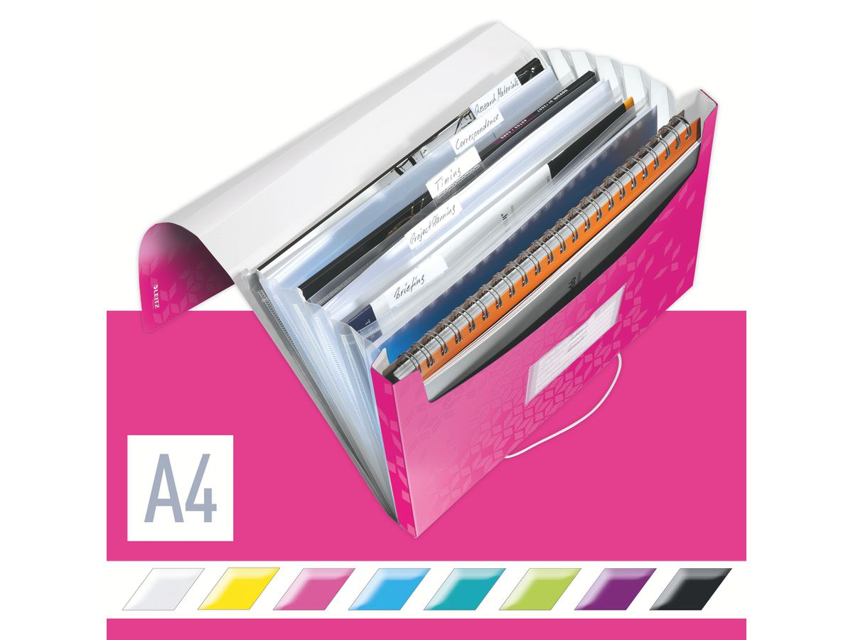 LEITZ Cartella progetto WOW A4 45890023 metallic pink (4002432105991)