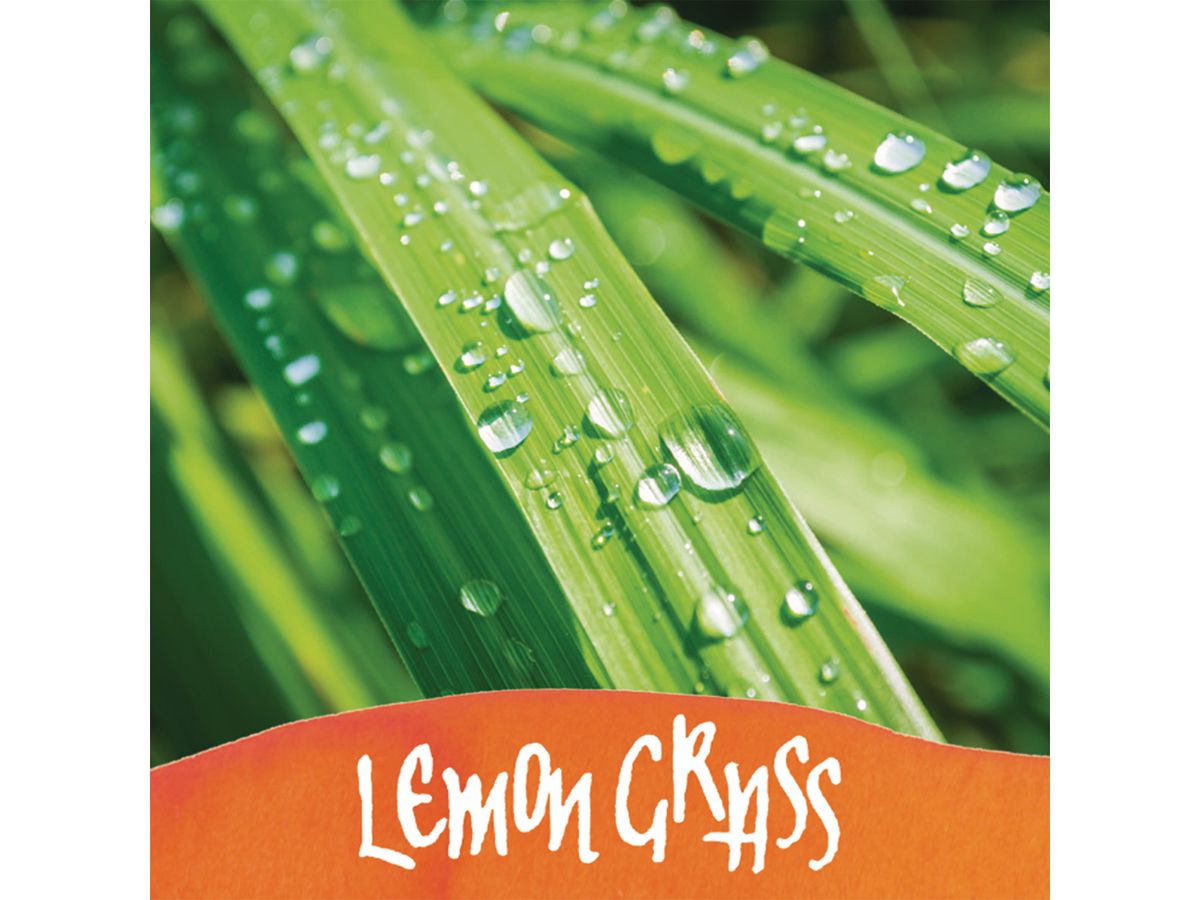 ONLINE Tintenglas 15ml 17067/3 Dufttinte Lemon Grass, orange (4014421170675)