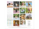ALPHA EDITION Bildkalender 2026 160302 Hunde ML 30x30cm (4069095003026)