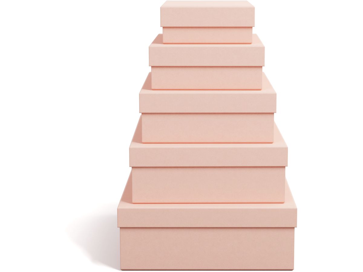 BIGSO BOX OF SWEDEN Scatola portaoggetti Cindy 325552133 dusty pink 5er-Set (7330061084057)