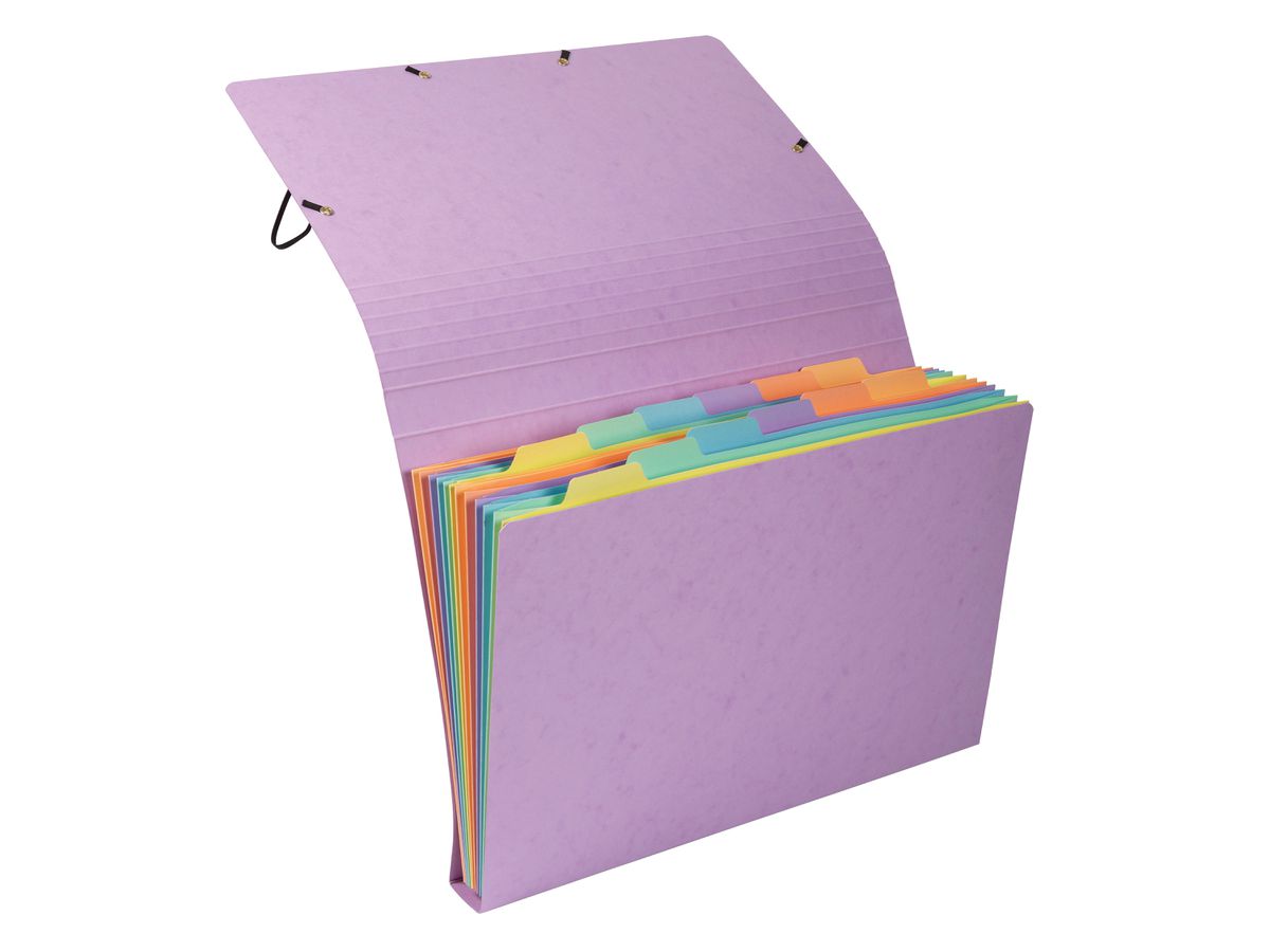 EXACOMPTA Cartella con scomp. Aquarel A4 58560E ass. 12 pezzi (3130630585602)