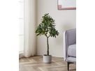 EGLO Plante artificielle 100cm 428022 vert, en pot (9008606253401)