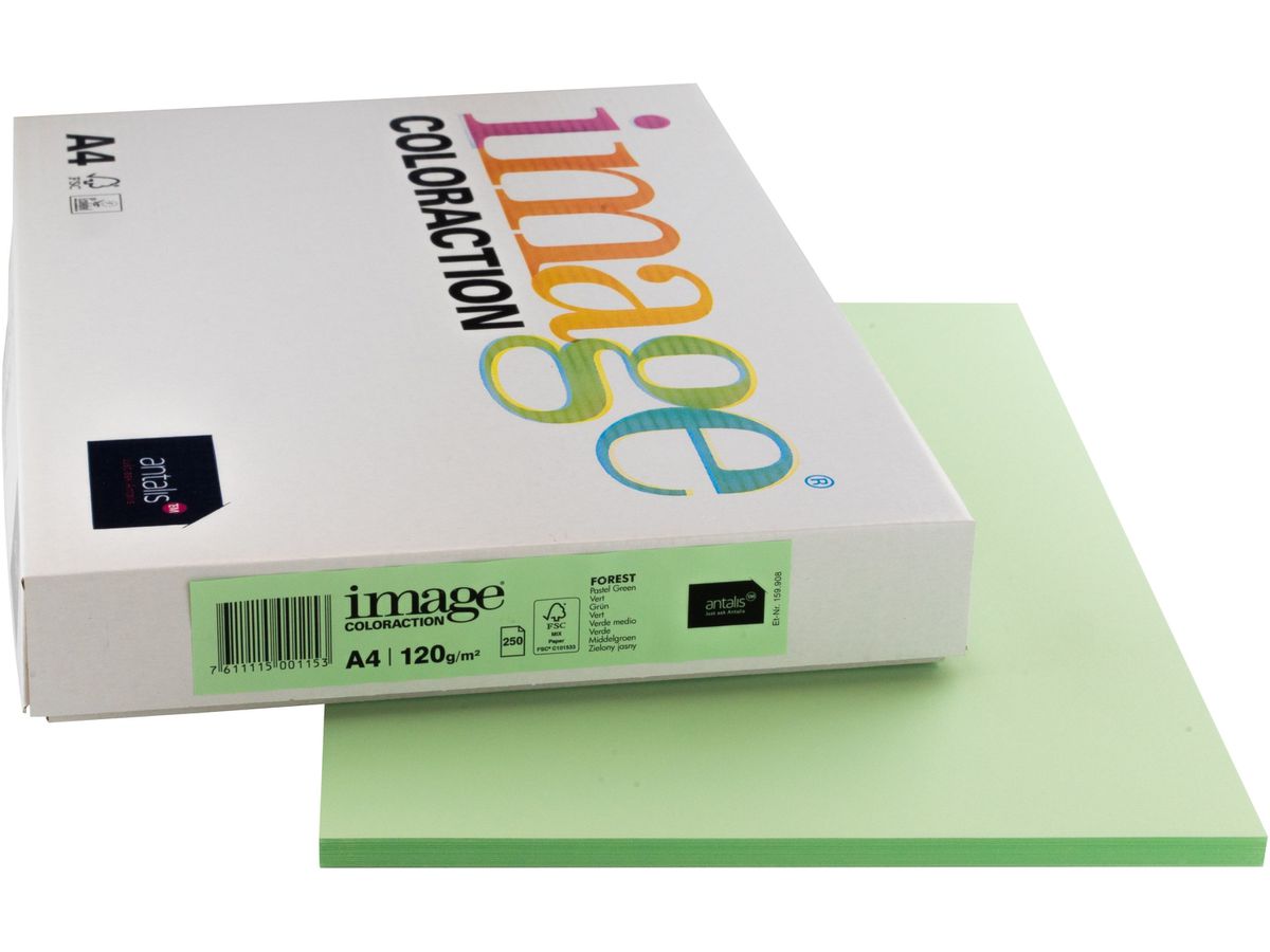 IMAGE COLORACTION Carta per copie Forest A4 266689 120g, green 250 fogli (7611115001153)