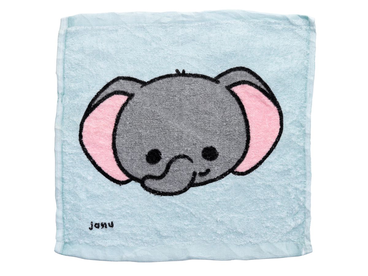 ROOST Magic Towel Wild animals CT12 2 assorté (5055071777127)