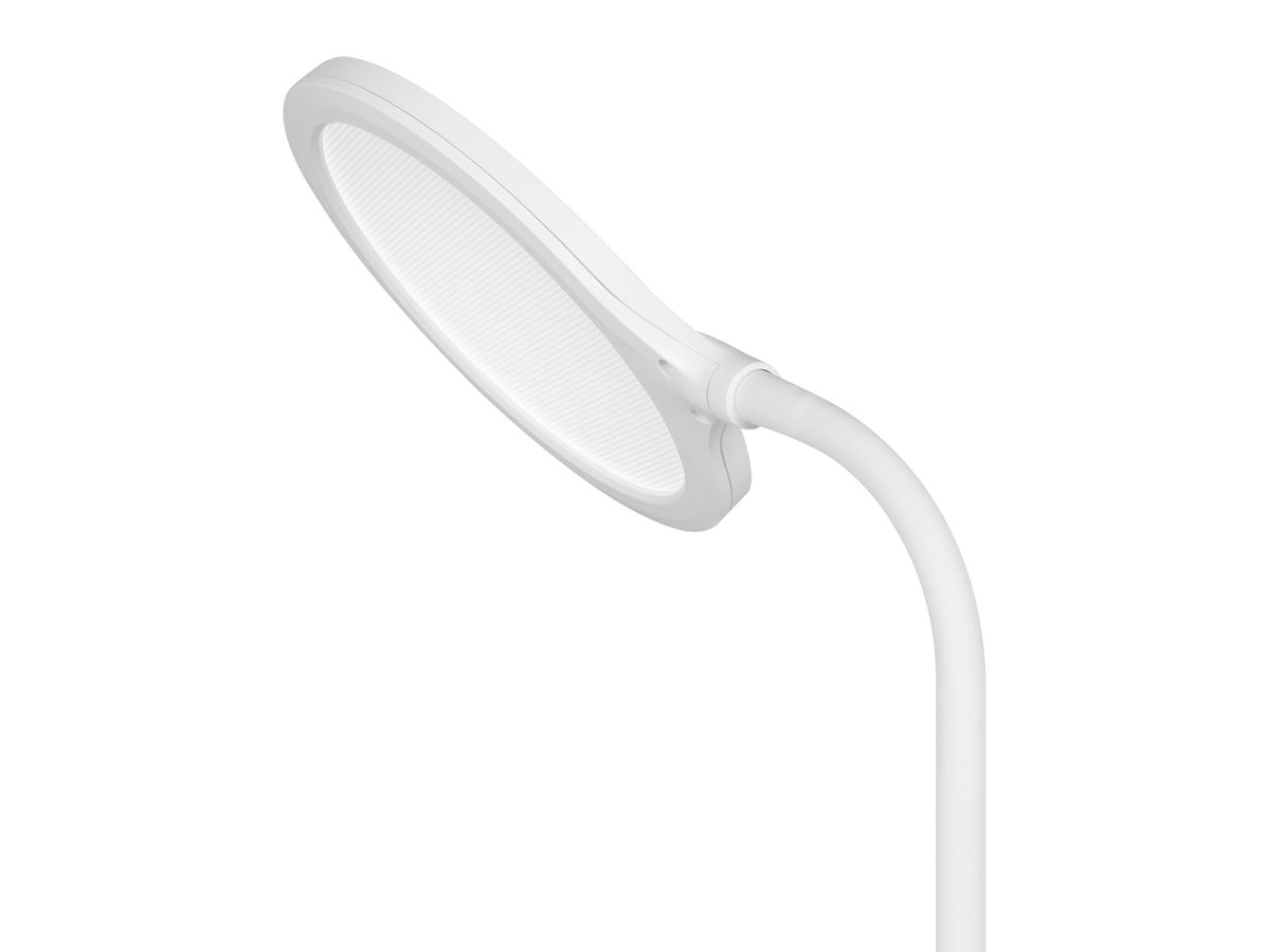 HANSA Lampe de table Horizon 41-5011.126 blanc (7612176093897)