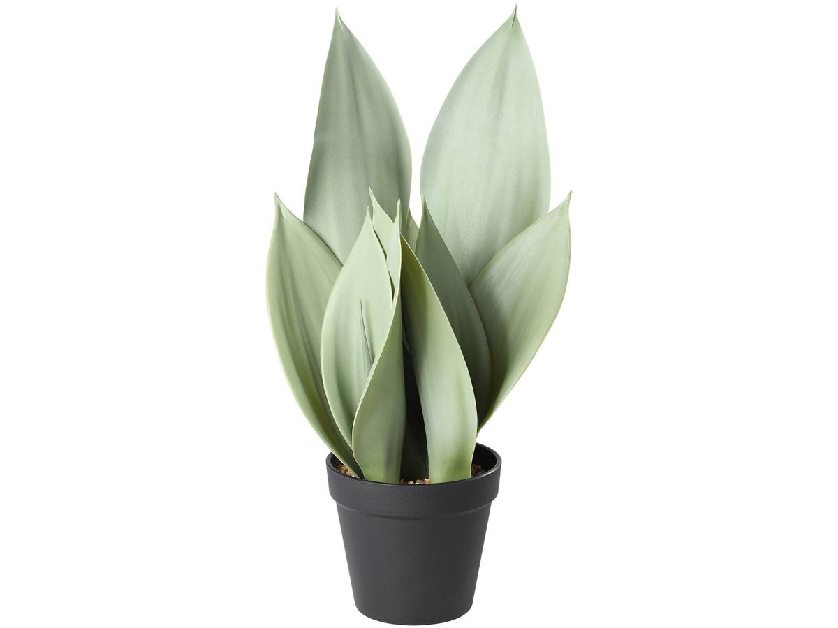 EGLO Plante artificielle 41.5cm 428387 vert, en pot (9008606326945)