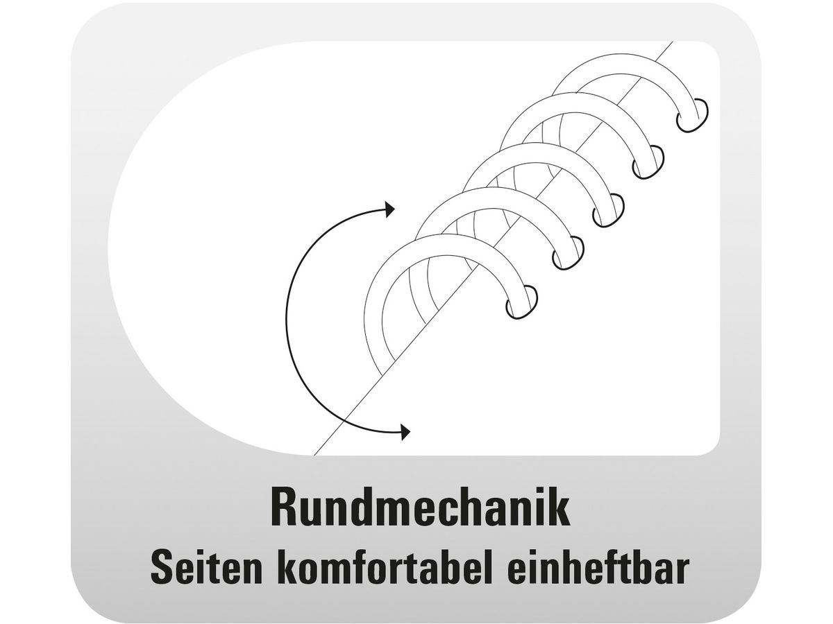 CHRONOPLAN Ringbuch Einsteiger Standard 50108Z.26 ProGrip Mat. Schwarz Midi (4004182501085)