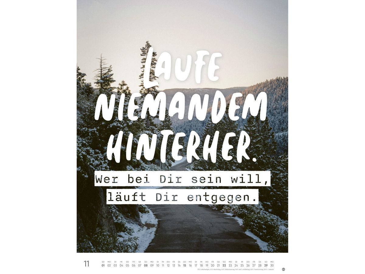 HEYE Bildkalender 2026 23563+26 Statements 34x44cm (9783756412655)