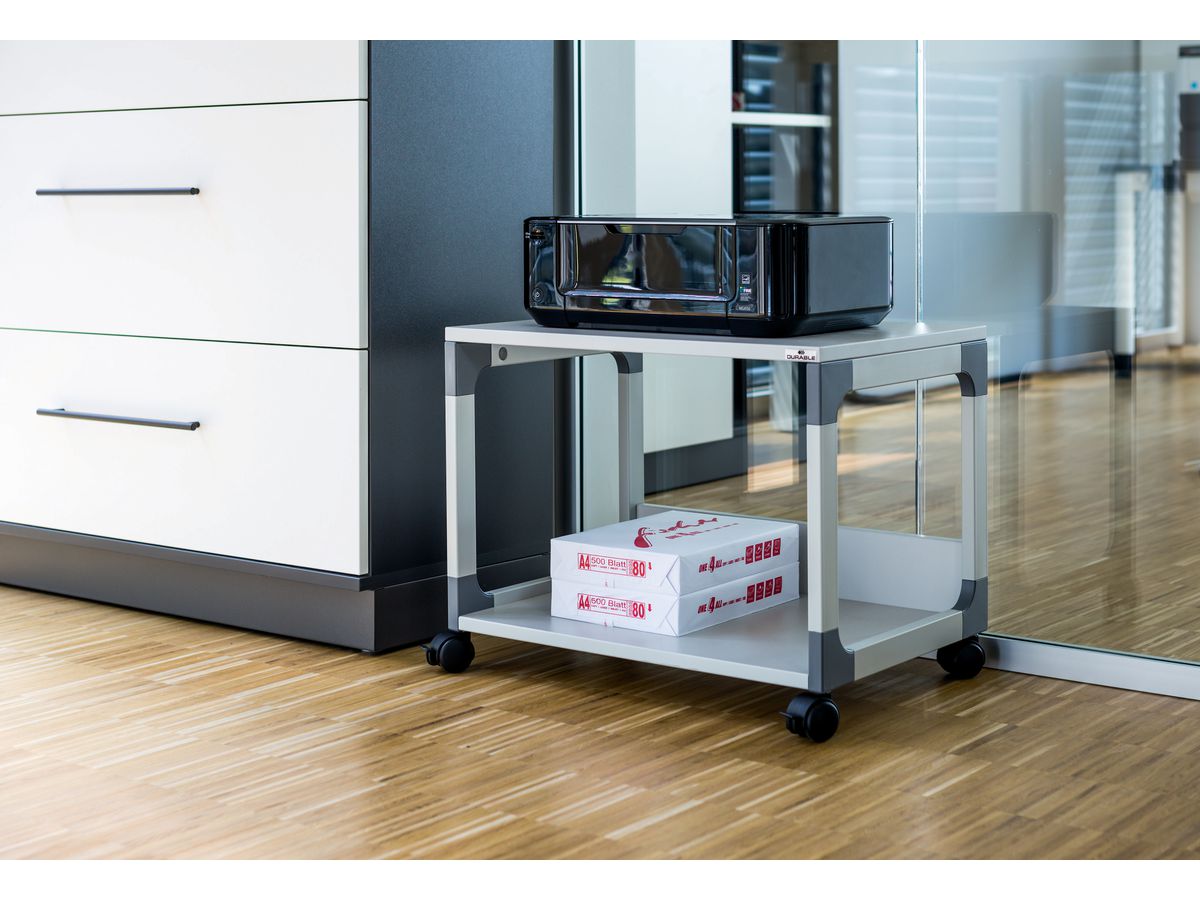 DURABLE Chariot multifonctionnel 48 371010 gris, 60x44x48cm (4005546301822)