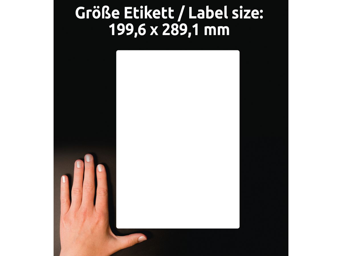 AVERY ZWECKFORM Etiquettes adr. 199,6x289,1mm J8167-25 blanc 25 pcs. (4004182047958)