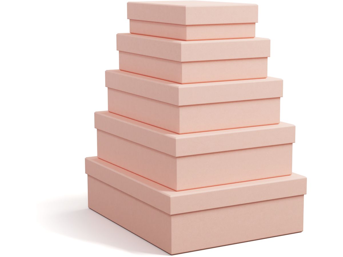 BIGSO BOX OF SWEDEN Scatola portaoggetti Cindy 325552133 dusty pink 5er-Set (7330061084057)