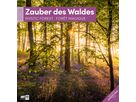 ACKERMANN Bildkalender 2026 4611 Zauber des Waldes ML 30x30cm (9783838446110)