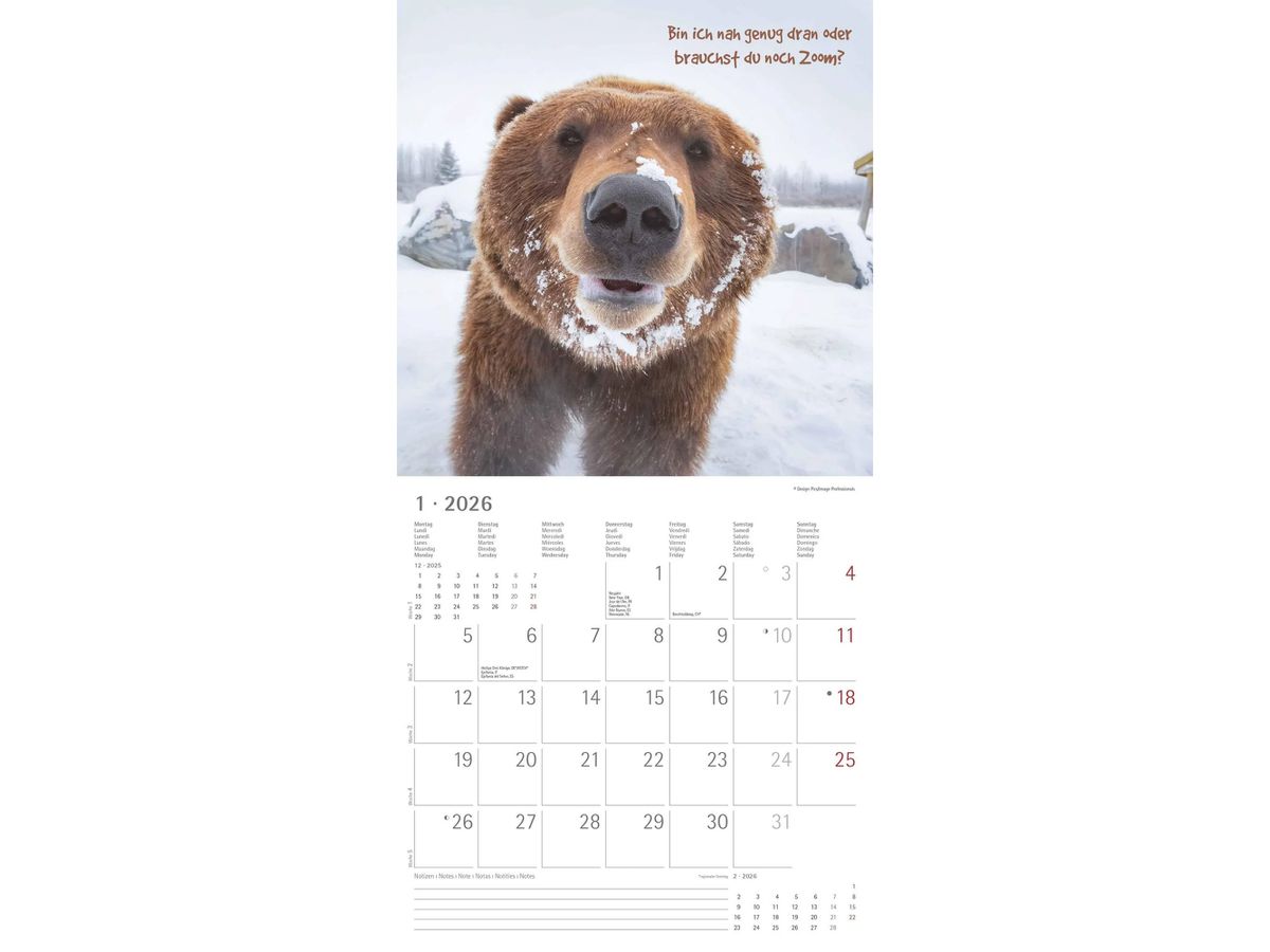 ALPHA EDITION Bildkalender 2026 160630 Funny Animals ML 30x30cm (4069095006300)