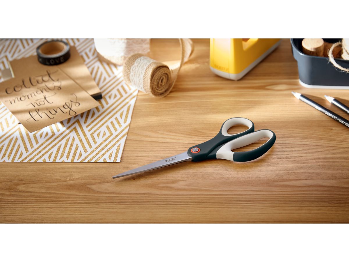 LEITZ Ciseaux Titan Cosy 5332-00-89 gris 20.5cm (4002432128563)