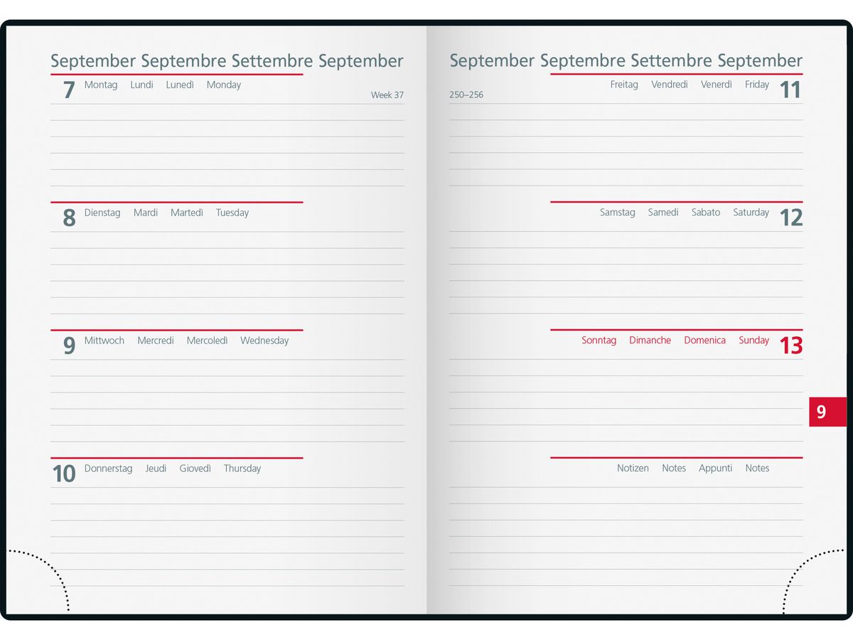 SIMPLEX Ladytimer Linea 2026 40550.26 1S/2P noir ML 10x14cm (7611468040946)