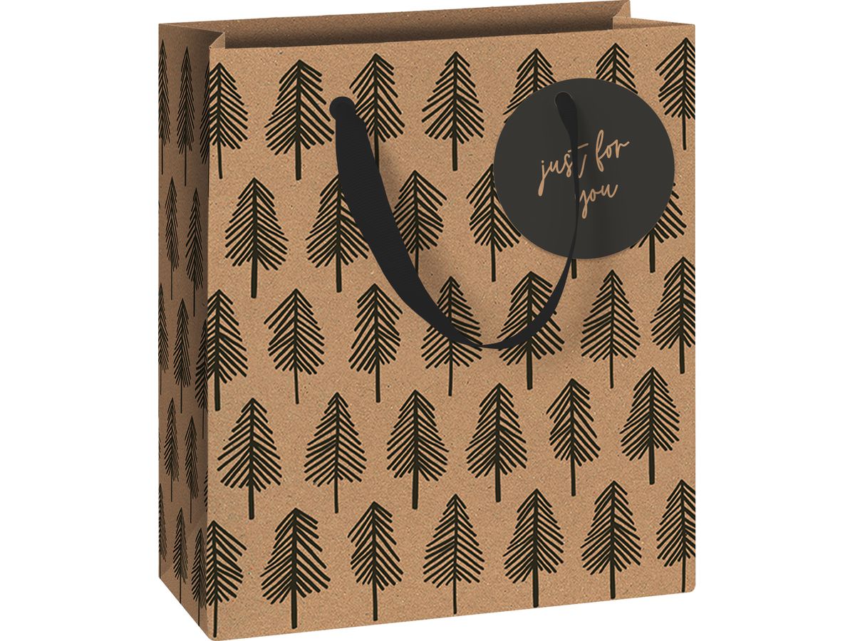 STEWO sac cadeau 2543539770 Weren 180x210mm (7630050862445)