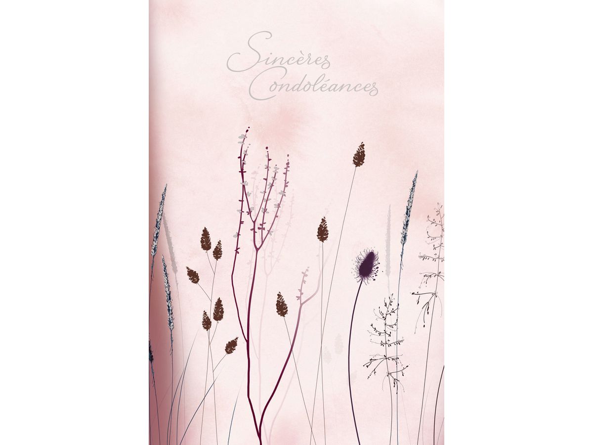 ABC Biglietto di condog. FR B6 53151 Erbe rosa (7611119276403)