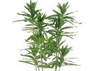 EGLO Pianta artificiale 125cm 428023 verde, in vaso (9008606253418)