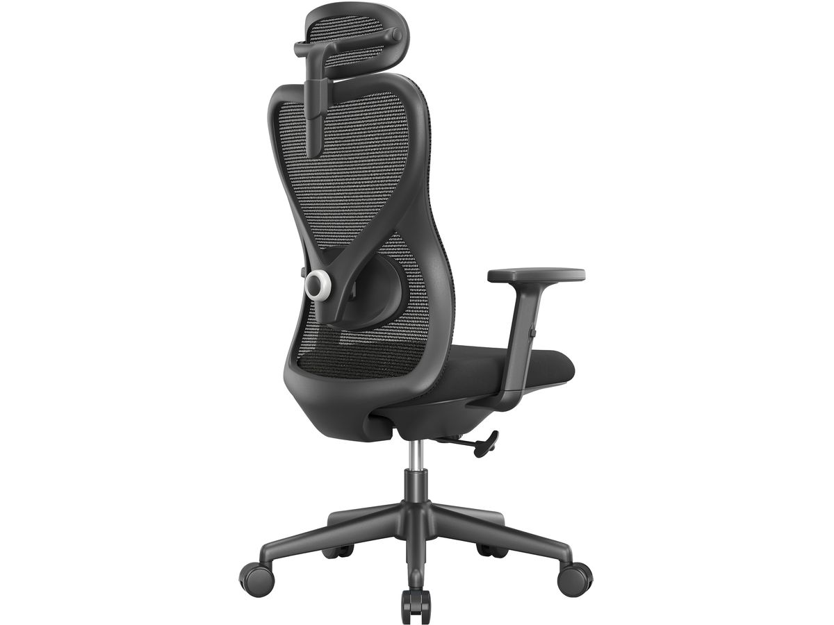 APOLLO Chaise de bureau Vyra CH-539A noir (7613058039996)