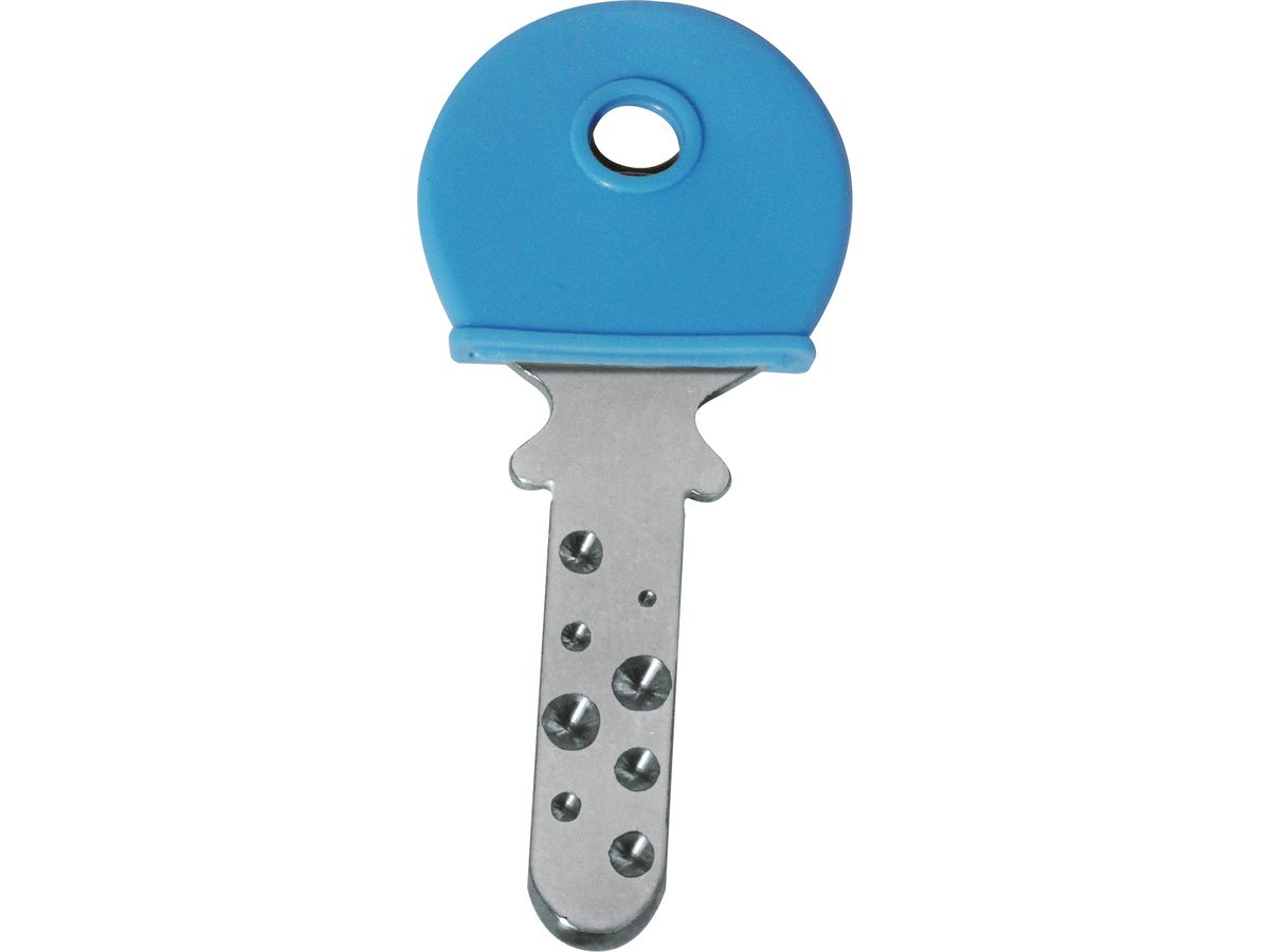 RIEFFEL SWITZERLAND Bouchons clé 8009 STV/200 ass. 200 pcs. (7640115311740)