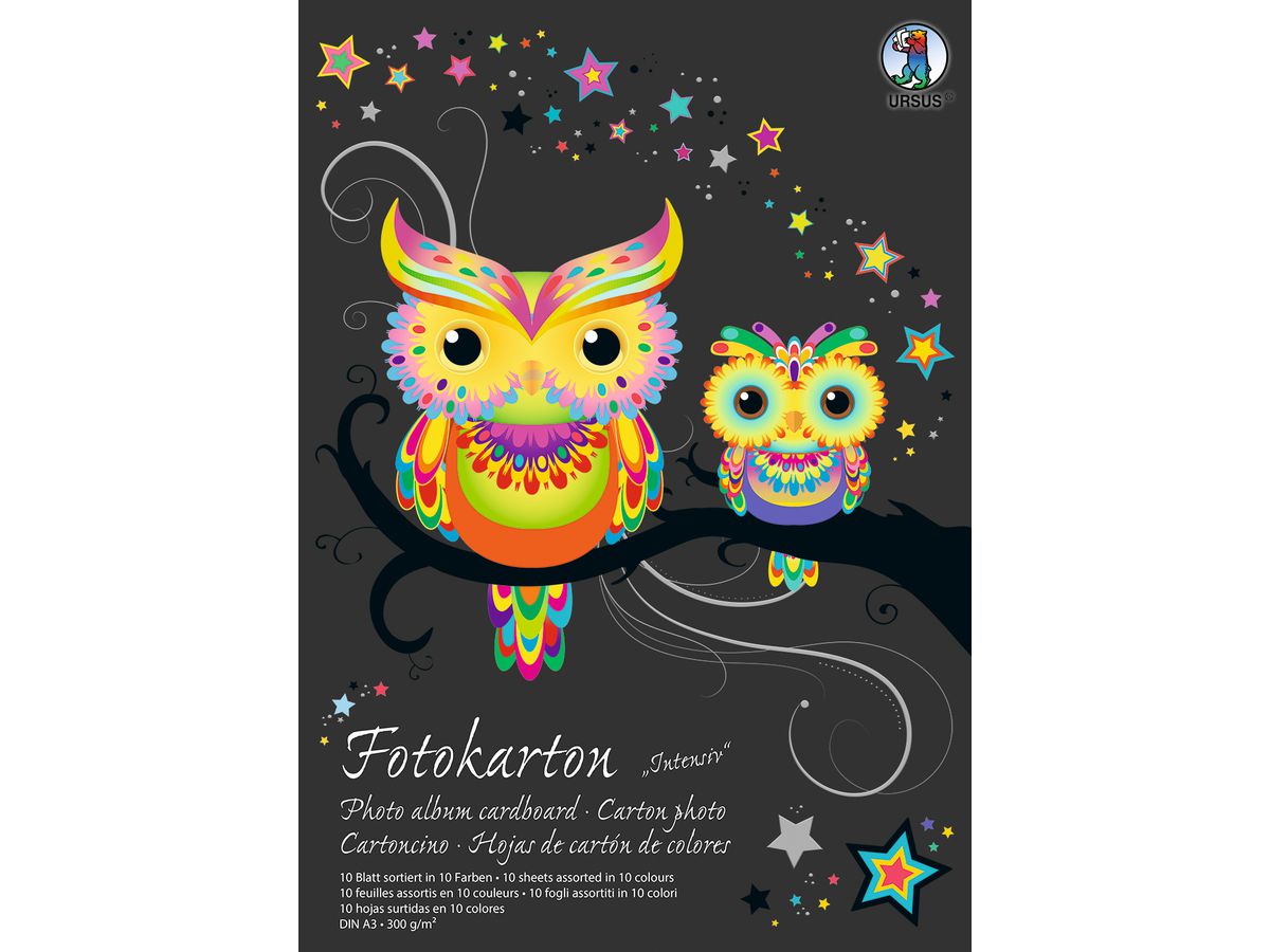 URSUS Carton photo bloc A3 3814099SE 300g, 10 couleurs 10 flls. (4008525202363)