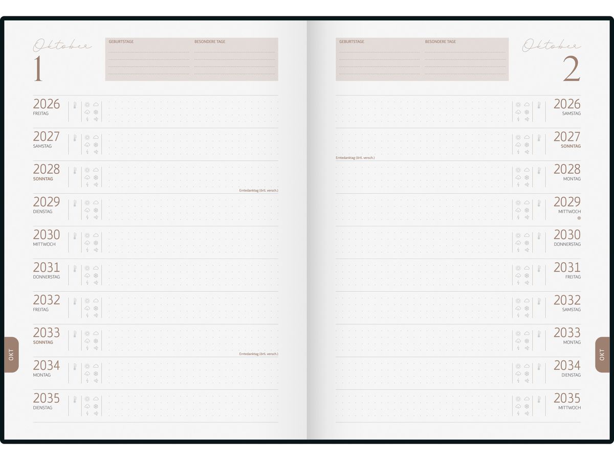 RIDOIDE Agenda décennal 2026-2035 7022404016.26 1J/1P gris AL 21x29.1cm (4003273790575)