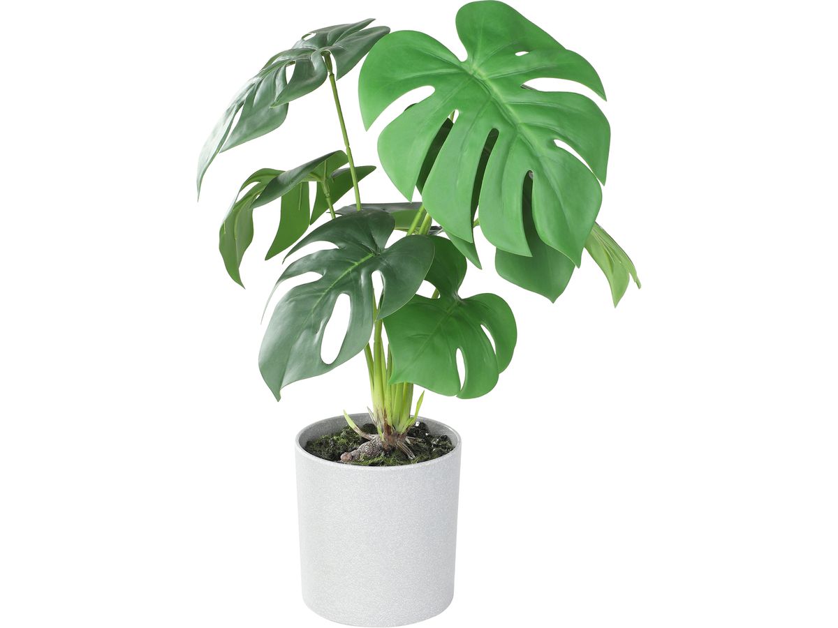 EGLO Pianta artificiale 42cm 428017 verde, in vaso (9008606253364)