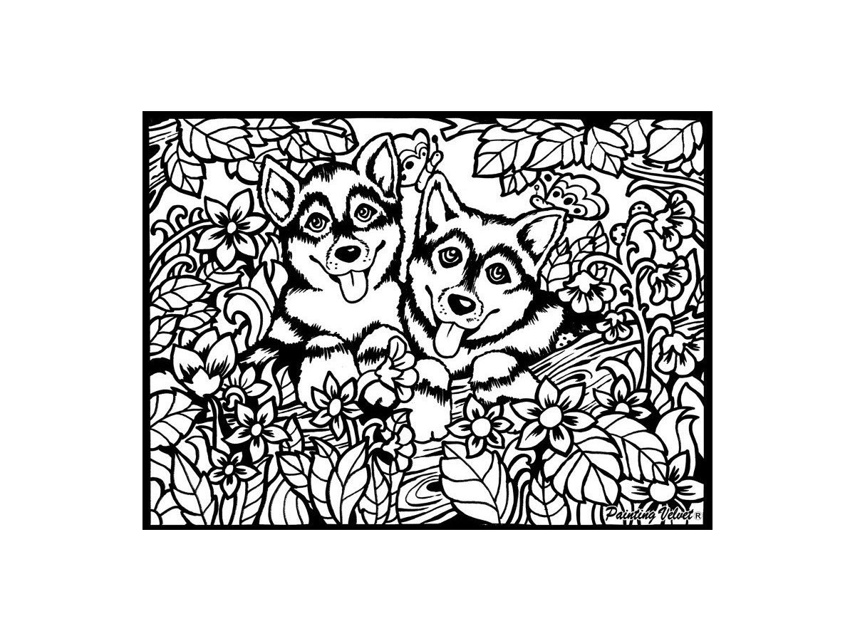 TATARUGA Image de velours A4 S5 huskys (8024238222340)