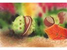 COPIC Marker Classic 20075708 autumn colours, 12 pcs. (4013695257167)