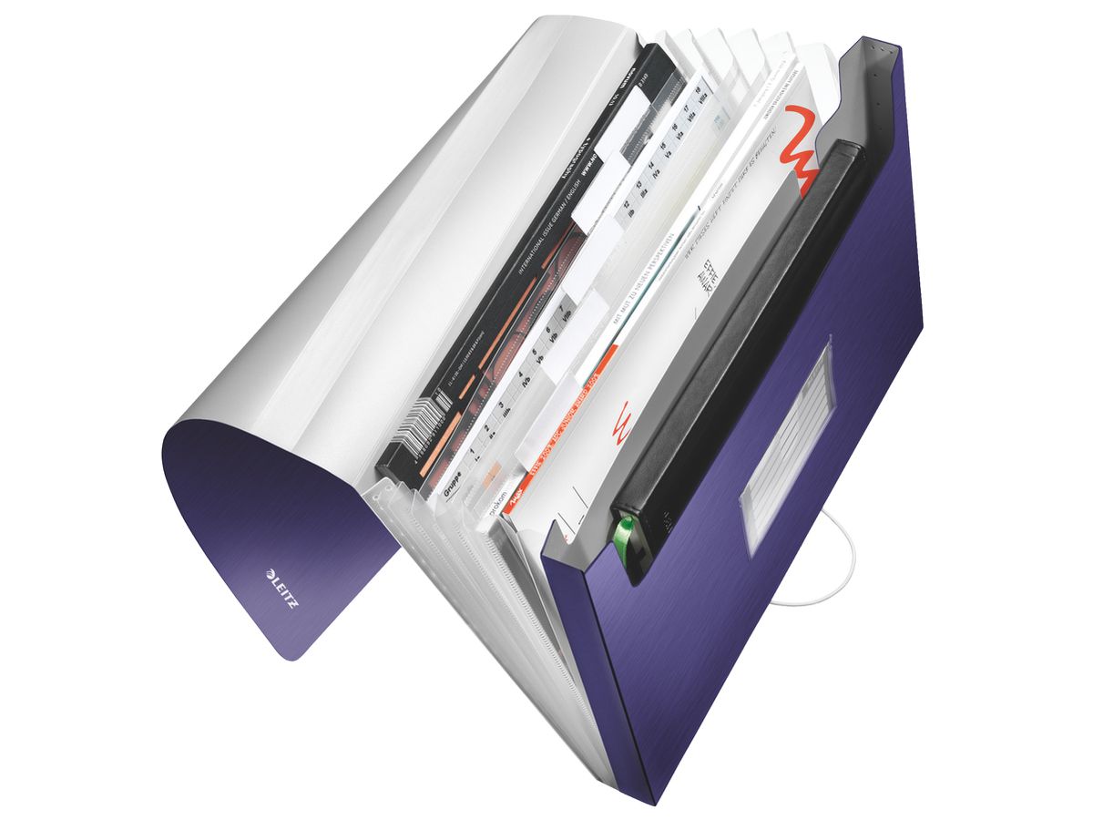 LEITZ Dossier archivio Style PP A4 39570069 Titanium Blu 6 scomp.200 fl. (4002432108138)