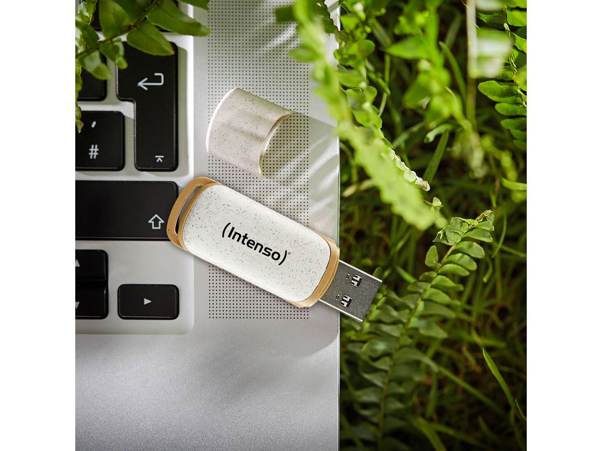 INTENSO USB-Stick Green Line 64GB 3540490 USB 3.2 (4034303032822)