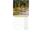 ACKERMANN Bildkalender 2026 4611 Zauber des Waldes ML 30x30cm (9783838446110)
